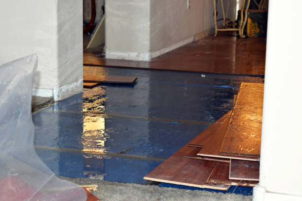 Professional Flood Damage Repair technician working in Hometown, IL